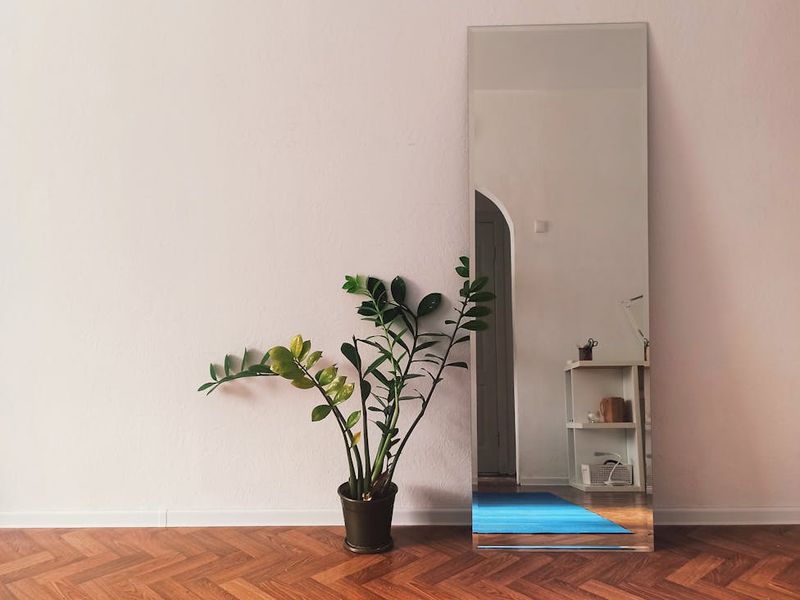 Minimalist bright exercise studio with wooden floors and plants.